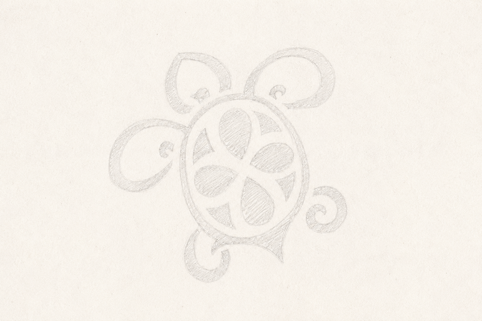 Soft pencil sketch study of the FREDTLE turtle mark